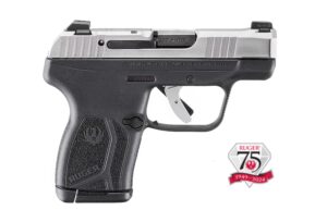 LCP MAX 380ACP SS/POLYMER 10+1