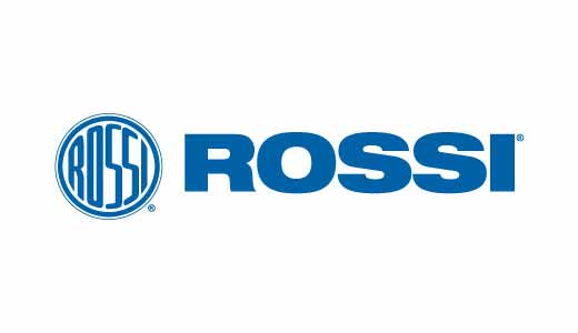 R95 45-70 SS/LAM 18" BEAR TB #
