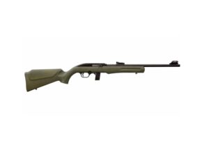 RS22 22LR BLK/ODG 18" 10+1