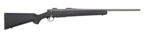 PATRIOT 25-06 SS CERAKOTE/SYN