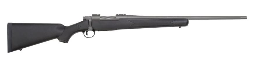 PATRIOT 25-06 SS CERAKOTE/SYN
