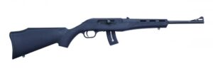 BLAZE 22LR BL/SY 16.5" 10+1 #