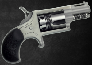 THE WASP 22LR REV 1-1/8" SS