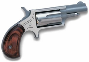 MINI 22MAG REV 1-5/8" SS