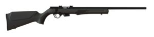 RB22M 22MAG BLK/SYN 21" 5+1