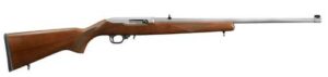 10/22 22LR SS/WD 22"