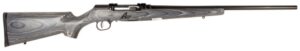 A17 SPORTER 17HMR BL/LAM 22"