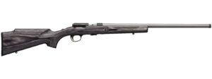 T-BOLT 17HMR VRMT SS/LAM 22"