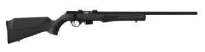 RB17 17HMR BLK/SYN 21" 5+1