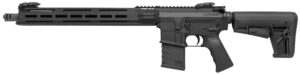 DMK22C 22LR 16" 10+1 ARCA TB