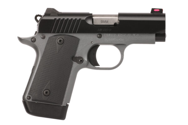 MICRO 9MM GHOST 2.75"