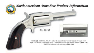 SHERIFF 22MAG 2.5" SS 5SH