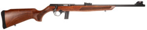 RB22 22LR BLK/WD 18" 10+1