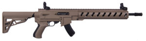 10/22 ATI AR22 FDE 16.1" 15+1