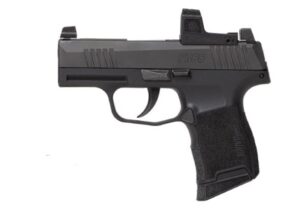 P365 380ACP ZERO ELITE 10+1 #