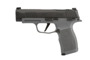 P365 XL 9MM NIT/GRAY 12+1 XRAY